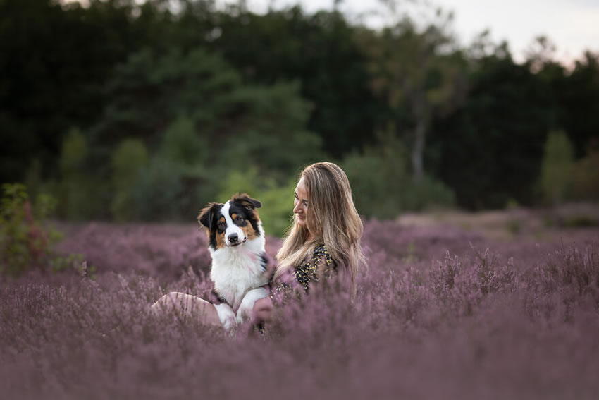 Adorable Dog Photography By Omica Meinen