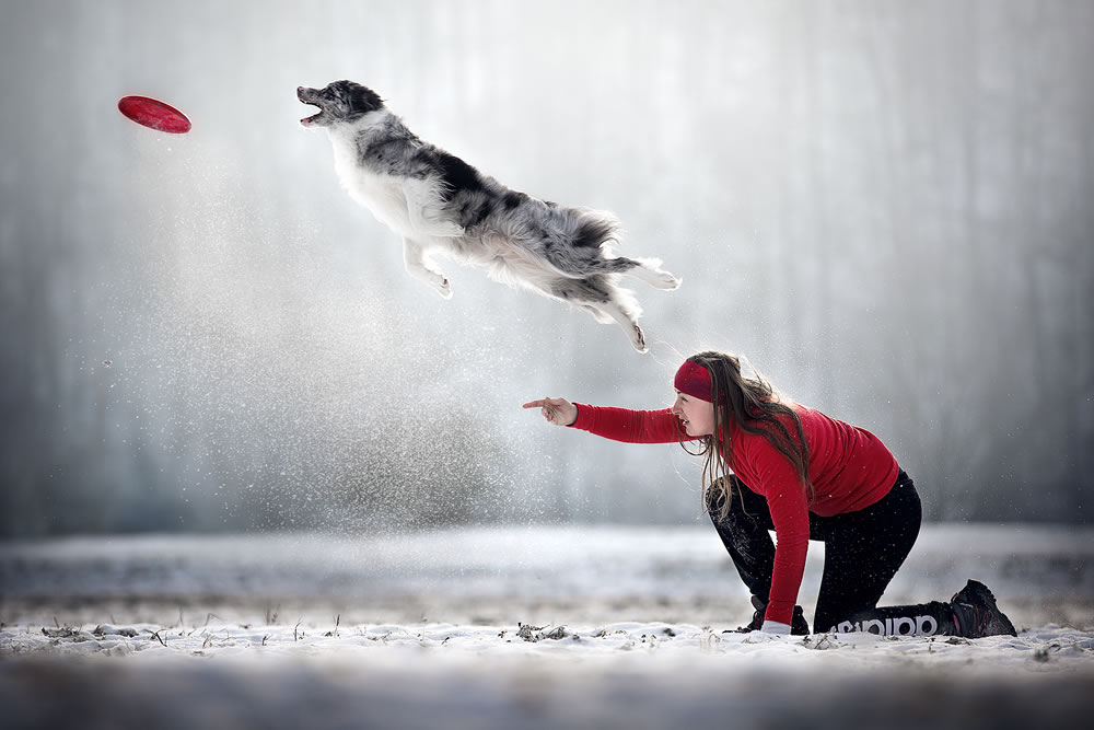 Dog Photography Awards 2022