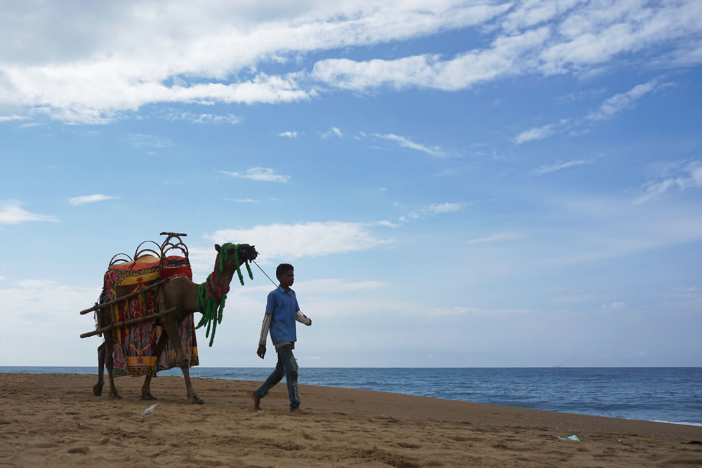 Beach Life - Photo Series By Dipanjan Chakrborty