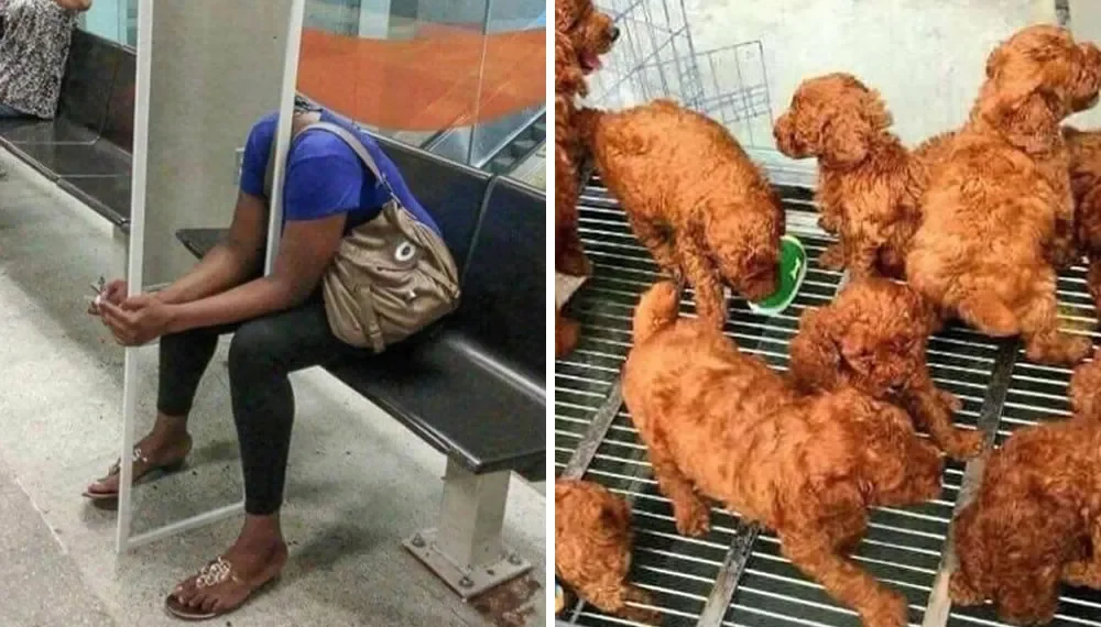 confusing-perspectives-pics