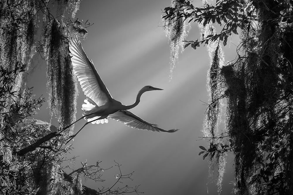 10 Winning Photos Of The Independent Photographer’s Black And White Photography Contest 2023