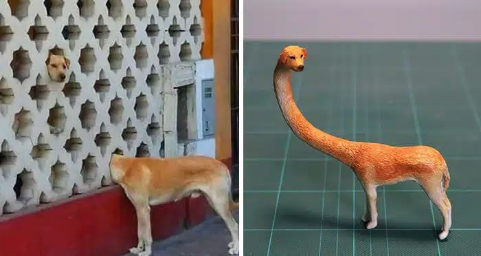 Photos d'animaux transformées en sculptures amusantes