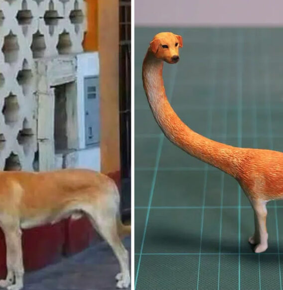 Japanese Artist Meetissai Turns Awkward Animal Photos Turned Into Funny Sculptures