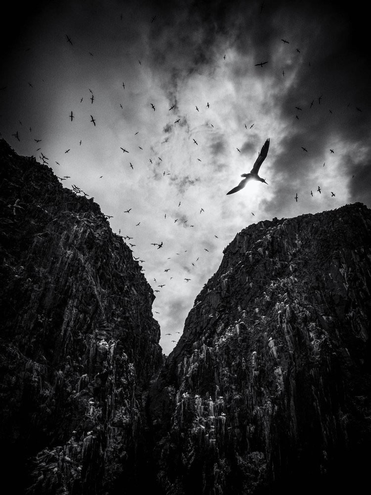 Winners Of The British Wildlife Photography Awards 2023 