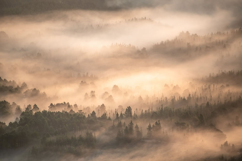 Winners Of The British Wildlife Photography Awards 2023 