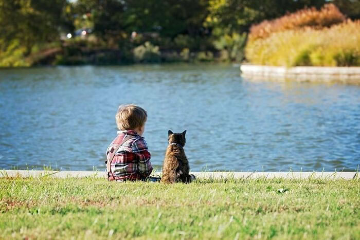 Bel amour des chats et des bébés