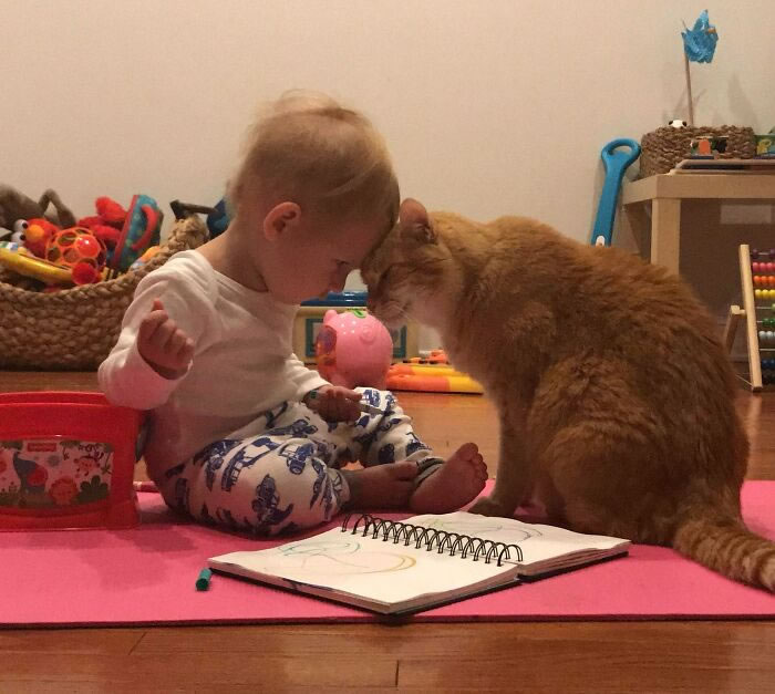 Beautiful Love Of Cats And Babies