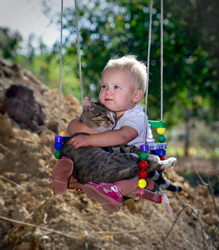 Bel amour des chats et des bébés