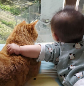 20 Endearing Photos Of Cats And Babies Showing The Purest Form Of Love