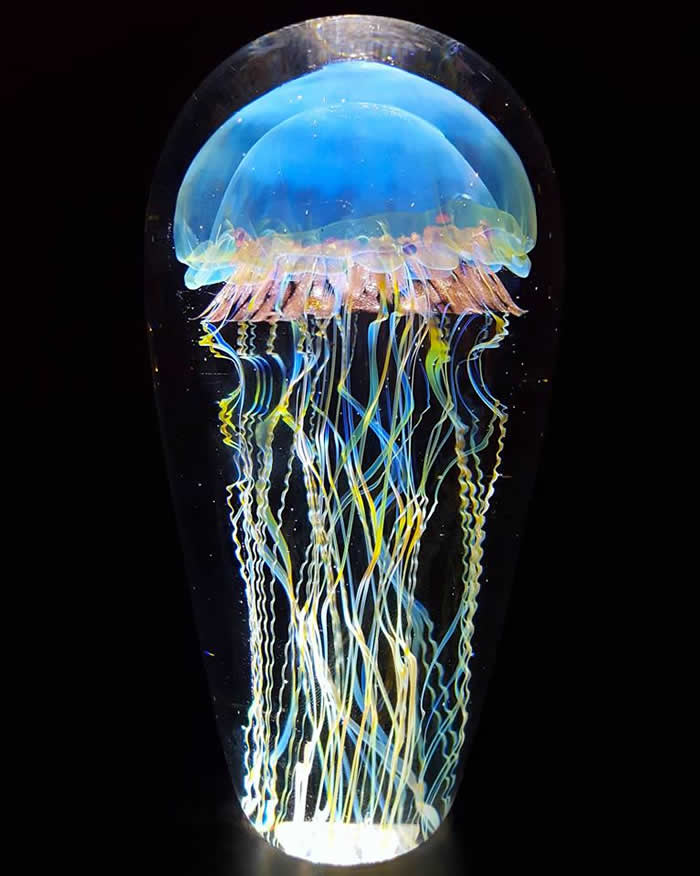 Glass Jellyfish Sculptures by Richard Satava