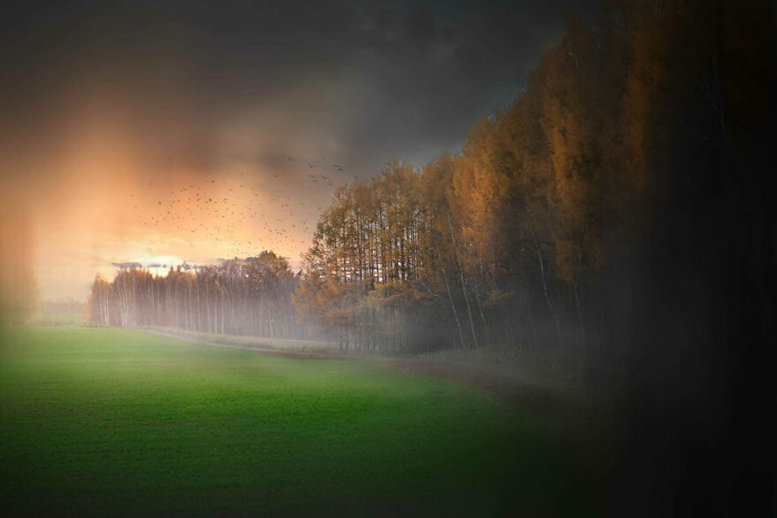 Beautiful Trees Of Hokkaido Japan By Roy Iwasaki