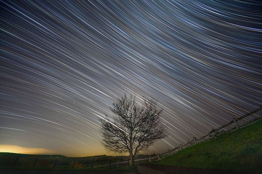 Beautiful Trees Of Hokkaido Japan By Roy Iwasaki