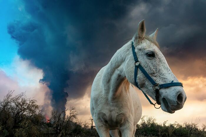 Travel Photographer Of The Year Winners