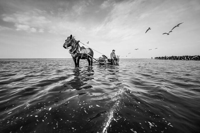 Travel Photographer Of The Year Winners