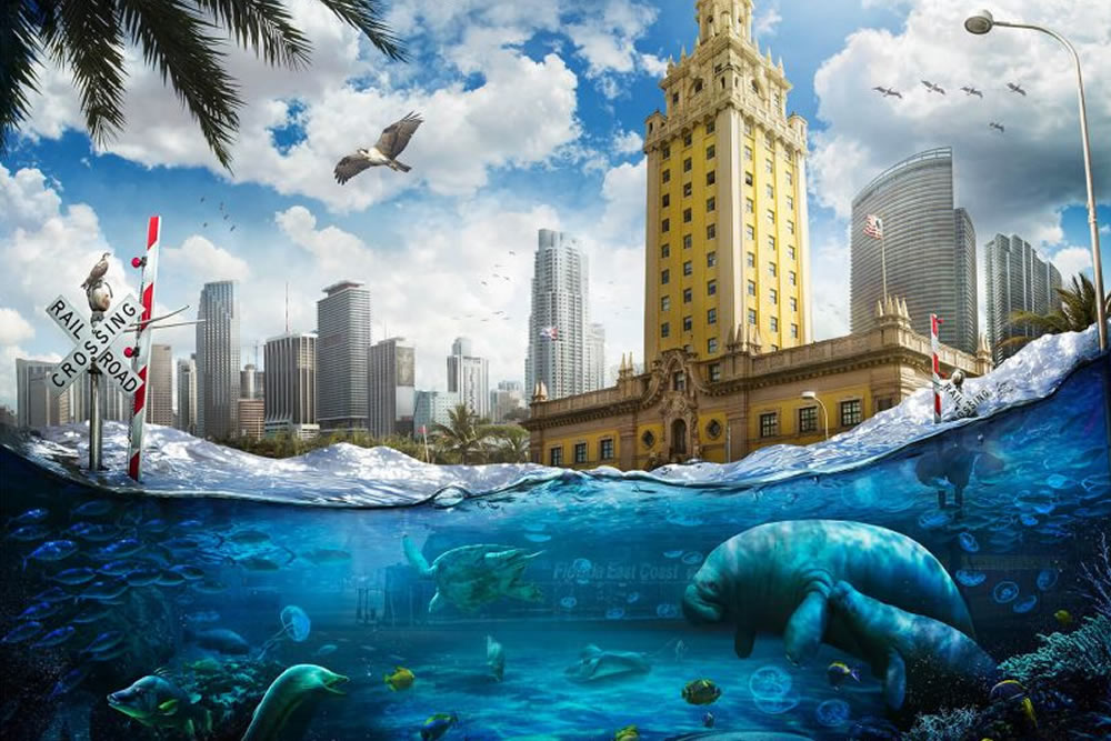 Alternate Realities by Nick Pedersen