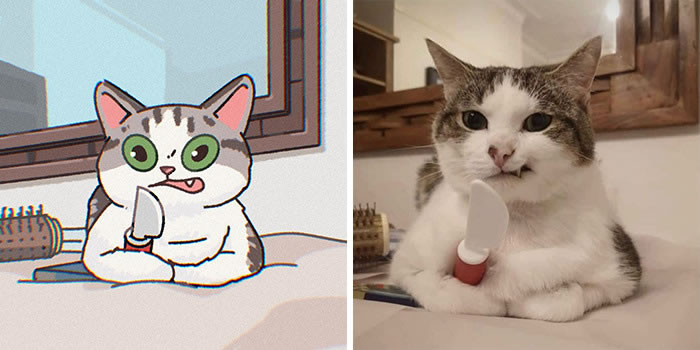 Photos de chat mignon dans les bandes dessinées