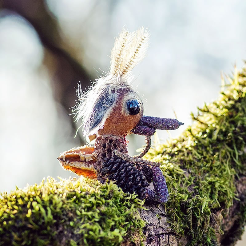 Forest Creatures Using Natural Elements By Sylvain Trabut 