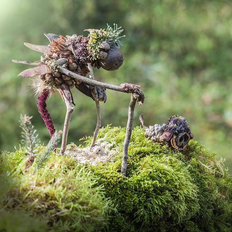 Créatures de la forêt utilisant des éléments naturels par Sylvain Trabut 
