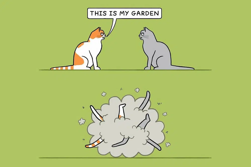 20 Quirky And Playful Illustrations By Steve Nelson 71 Playful Illustrations By Steve Nelson