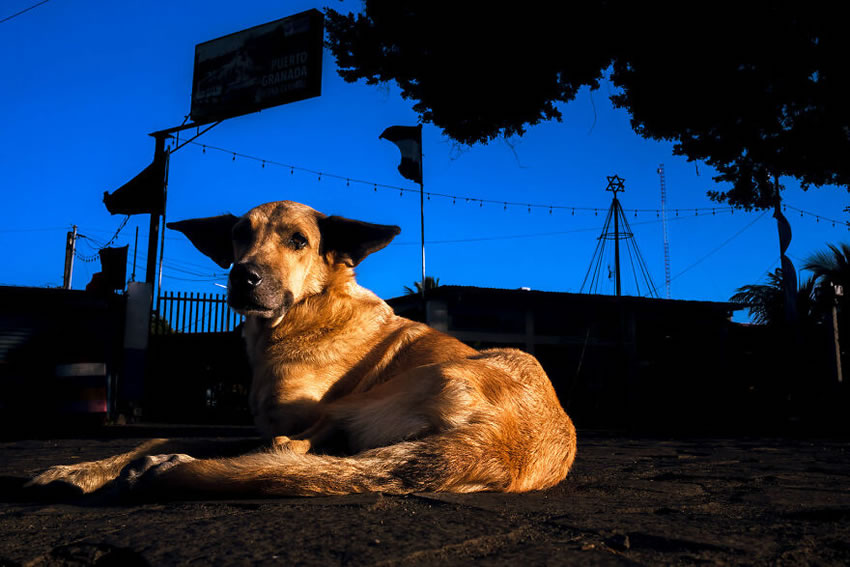 Colorful Street Photography Of Nicaragua By Dan Morris