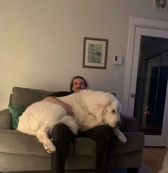 Huge Things in Life Shared By Absolute Units 