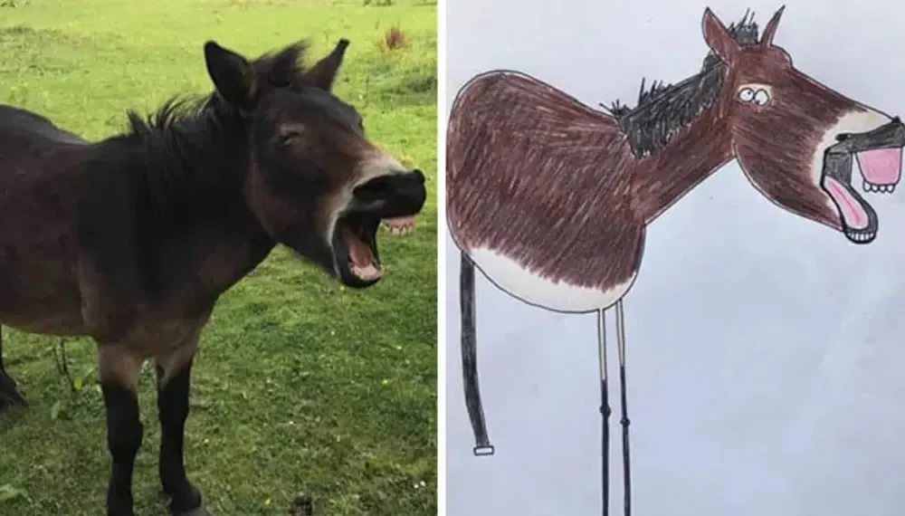 A braying donkey in a field next to a humorous child-like drawing of it