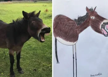 A braying donkey in a field next to a humorous child-like drawing of it