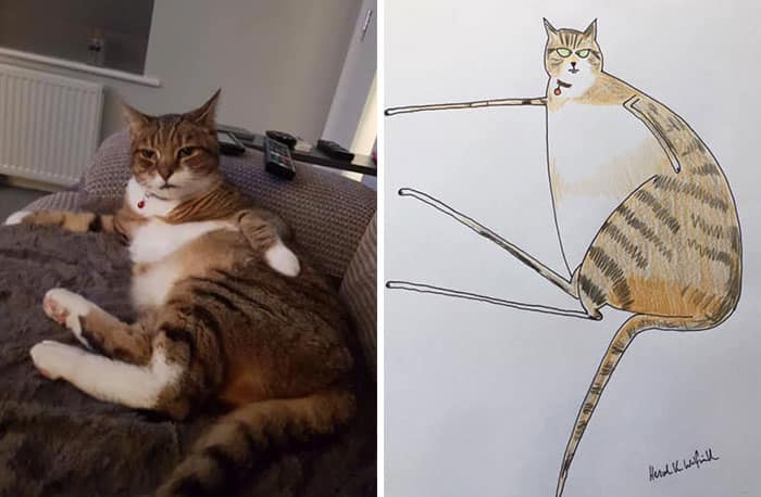 Dessins drôles de portraits d'animaux par Hercule Van Wolfwinkle