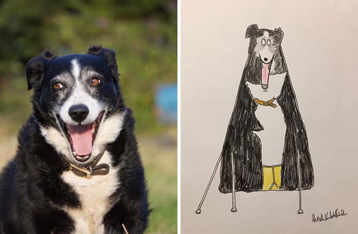 Funny Animal Portrait Drawings By Hercule Van Wolfwinkle