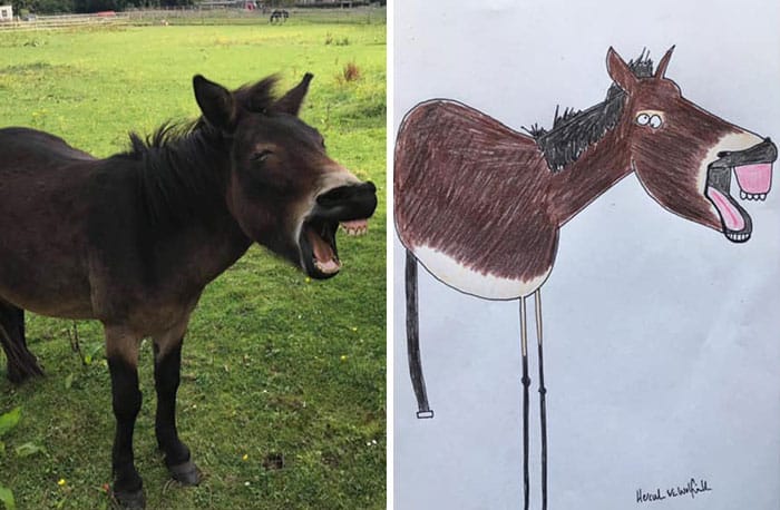 Funny Animal Portrait Drawings By Hercule Van Wolfwinkle