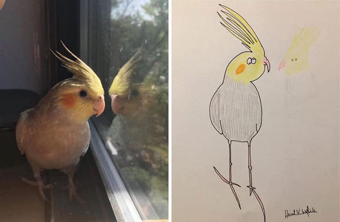 Funny Animal Portrait Drawings By Hercule Van Wolfwinkle