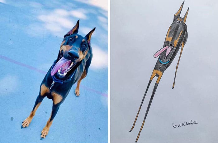 Funny Animal Portrait Drawings By Hercule Van Wolfwinkle