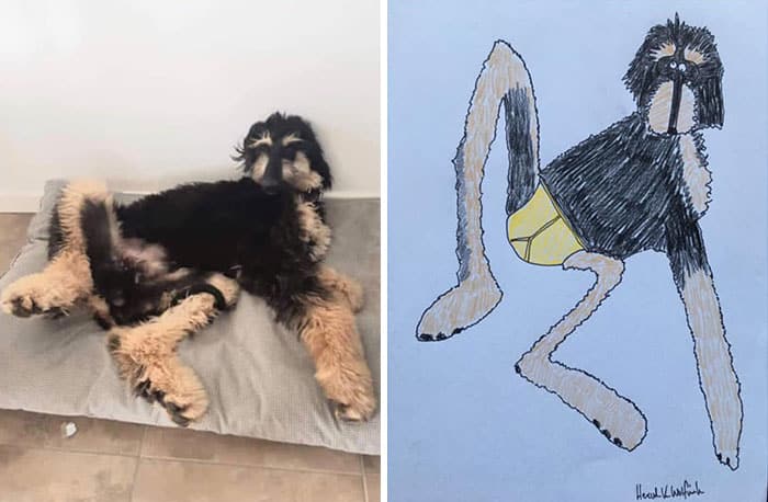 Funny Animal Portrait Drawings By Hercule Van Wolfwinkle