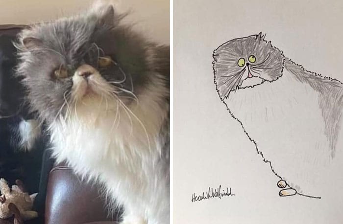 Dessins drôles de portraits d'animaux par Hercule Van Wolfwinkle