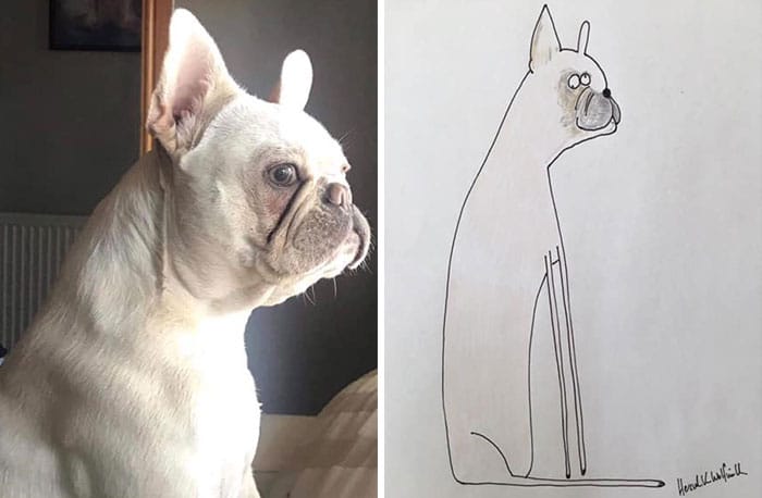 Dessins drôles de portraits d'animaux par Hercule Van Wolfwinkle