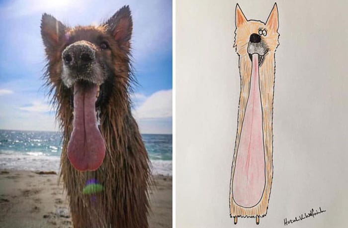 Dessins drôles de portraits d'animaux par Hercule Van Wolfwinkle