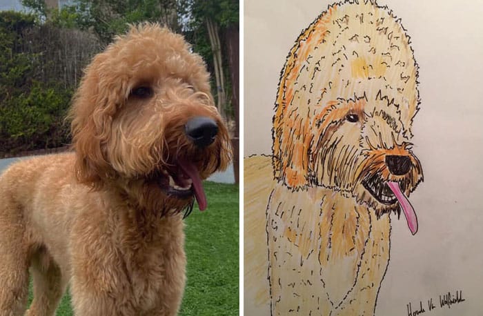 Funny Animal Portrait Drawings By Hercule Van Wolfwinkle