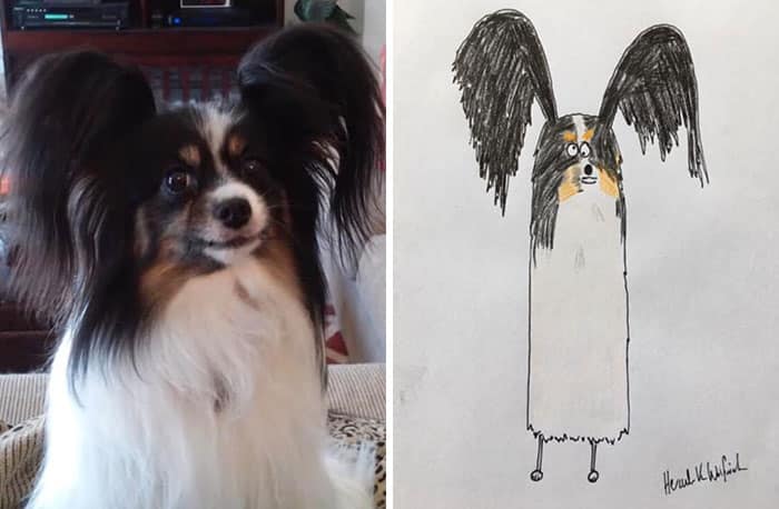 Funny Animal Portrait Drawings By Hercule Van Wolfwinkle