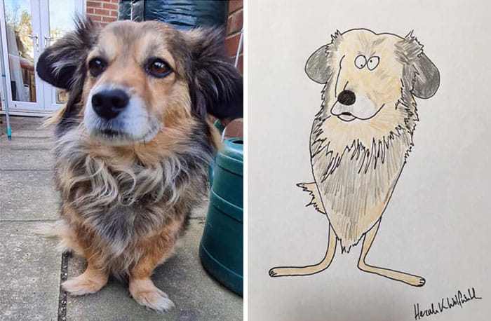 Funny Animal Portrait Drawings By Hercule Van Wolfwinkle