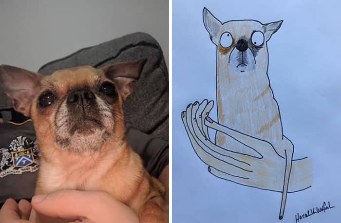 Dessins drôles de portraits d'animaux par Hercule Van Wolfwinkle