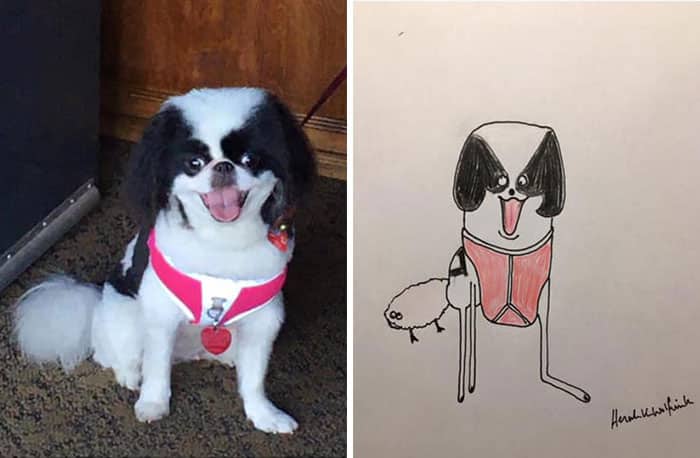 Funny Animal Portrait Drawings By Hercule Van Wolfwinkle