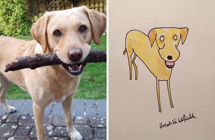 Funny Animal Portrait Drawings By Hercule Van Wolfwinkle