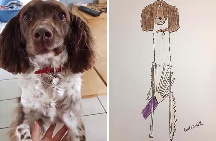 Funny Animal Portrait Drawings By Hercule Van Wolfwinkle