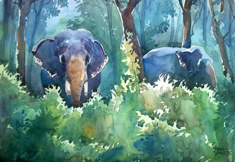 Watercolor Paintings By Sunil Linus De