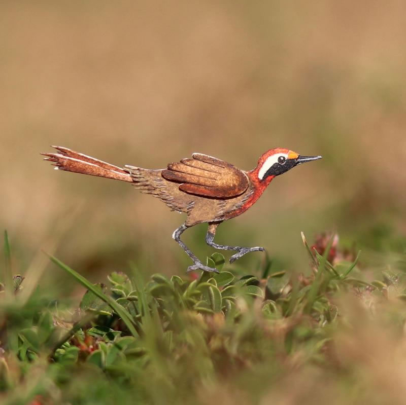 Belles œuvres d'art miniatures de Nayan et Vaishali