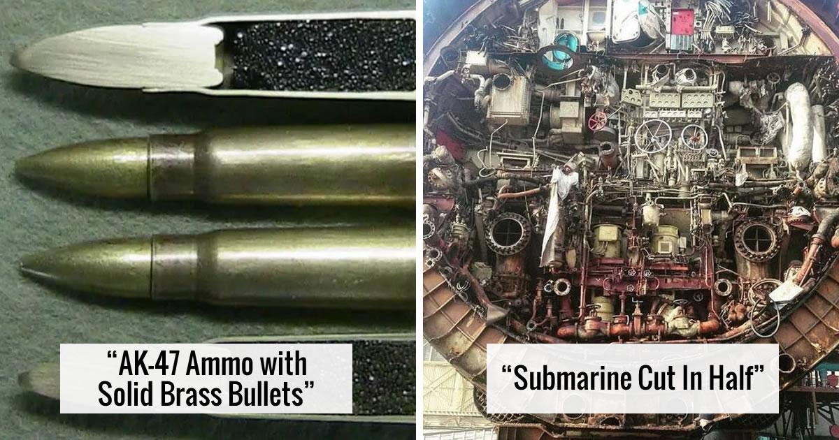 Exploring The Inner World: 26 Surprising Views Of Objects Cut In Half