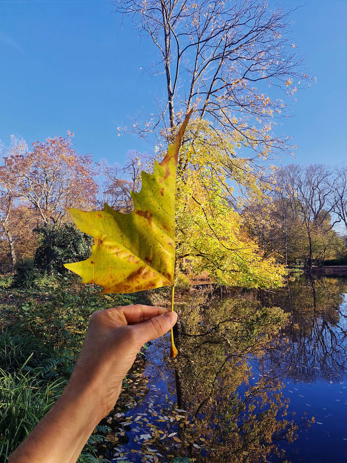 Creative Photography Perspective By Hugo Suissas