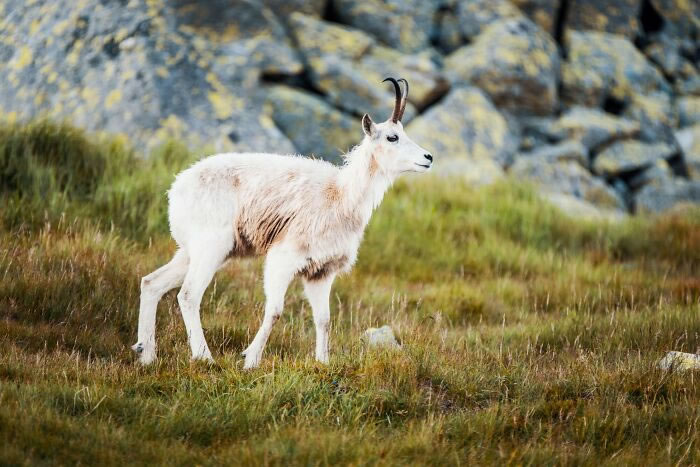 Nature Photographs From Slovakia By Filip Majercik