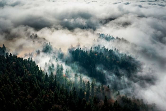 Nature Photographs From Slovakia By Filip Majercik
