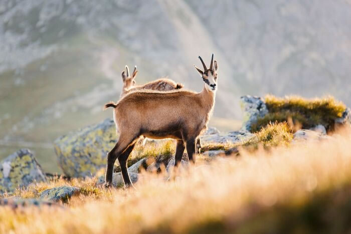 Nature Photographs From Slovakia By Filip Majercik